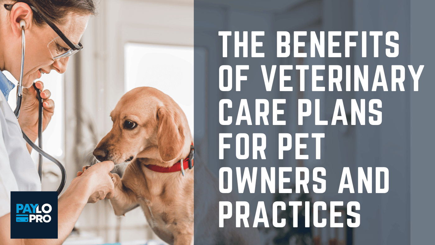 The Benefits of Having a Veterinary Care Plan for Pet Owners and Veterinary Practices
